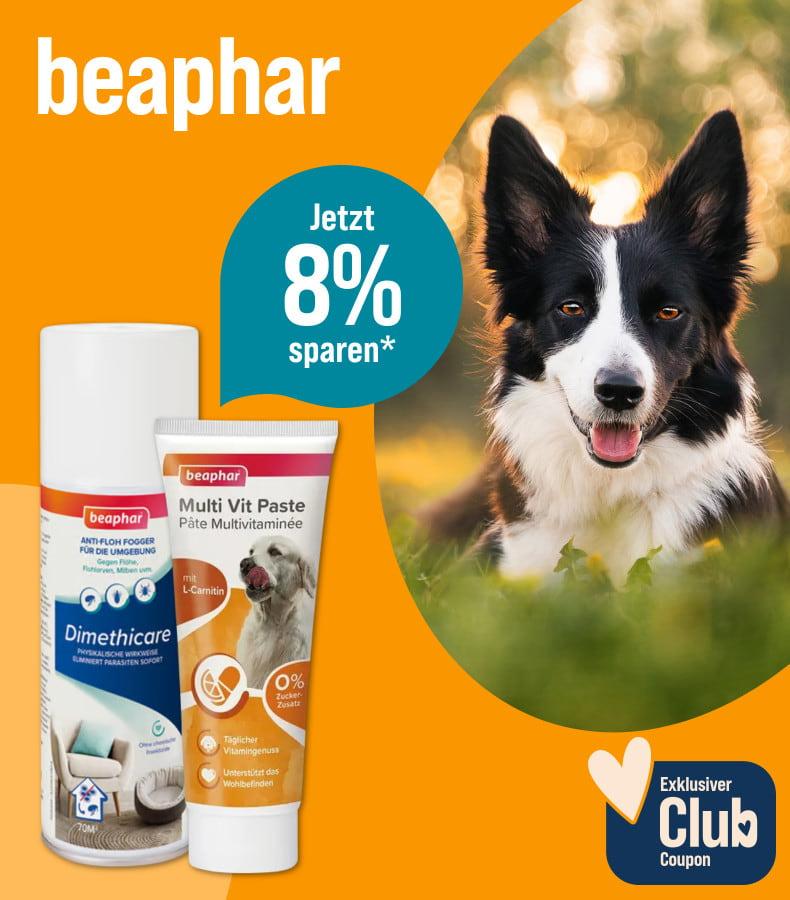 Spare 8% auf beaphar Aktionsbanner für Pflege‑ und Ergänzungsprodukte von beaphar. Hund liegt auf einer Wiese, daneben Verpackungen von Pflegemittel und Vitaminpaste.