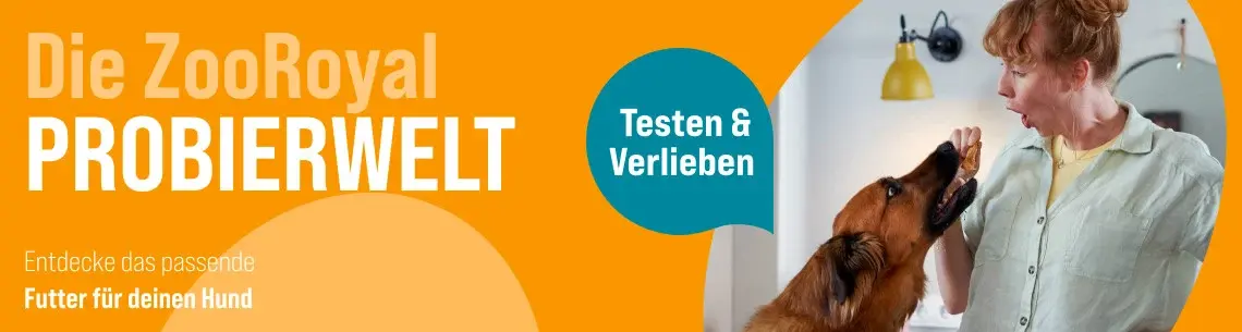 ZooRoyal Probierwelt Banner mit Hund Ein großer Hund steht auf den Hinterbeinen am Küchentisch und nimmt ein Leckerli von einer Person entgegen. Das Banner bewirbt die ZooRoyal Probierwelt für Hunde.