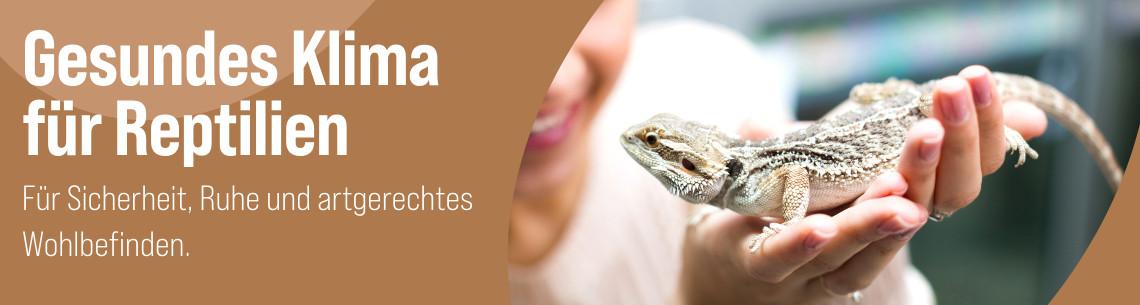 Reptiliengesundheit Bartagame wird vorsichtig auf zwei Händen gehalten - Banner zum Thema Reptiliengesundheit.