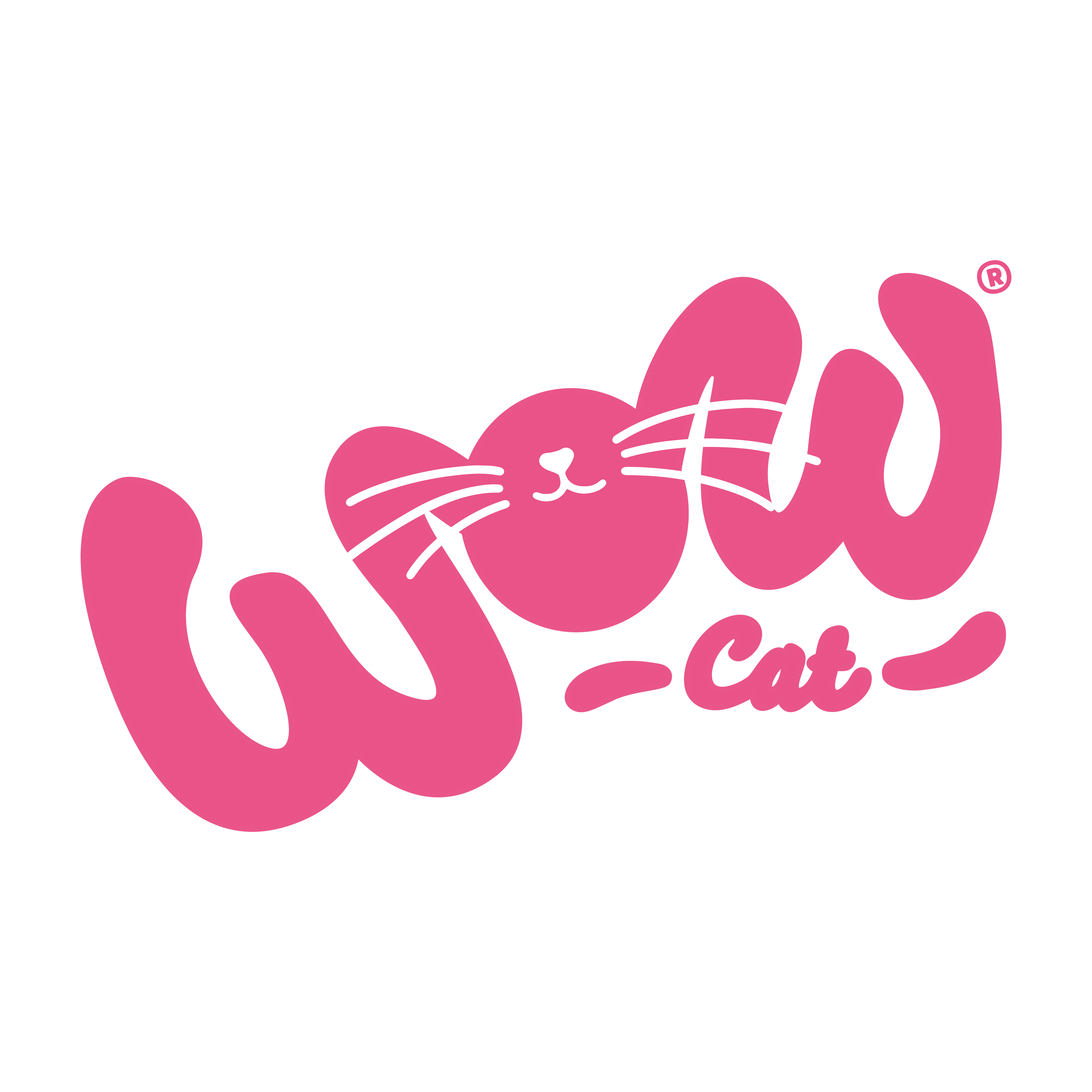 WOW CAT