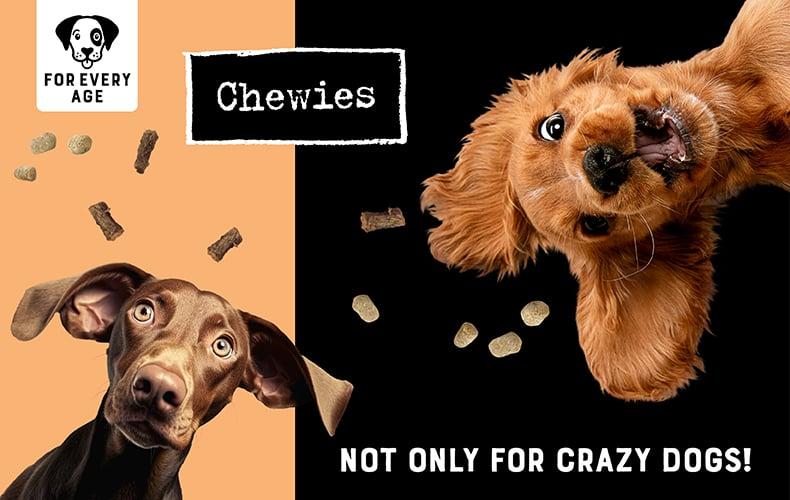 Chewies Topbanner Banner mit zwei Hunden und Chewies Logo.