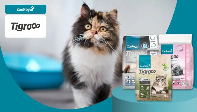ZooRoyal Tigrooo Katze sitzt vor ZooRoyal Tigrooo Katzenstreuprodukten.