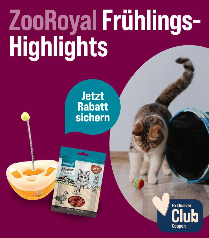 Spare auf ZooRoyal Marken Aktionsbanner mit Angeboten auf ZooRoyal Marken. Katze spielt mit einem Ball neben einem Spieltunnel, daneben Katzenspielzeug und Katzenfutter, Hinweis auf Rabattaktion und exklusiven Club‑Coupon