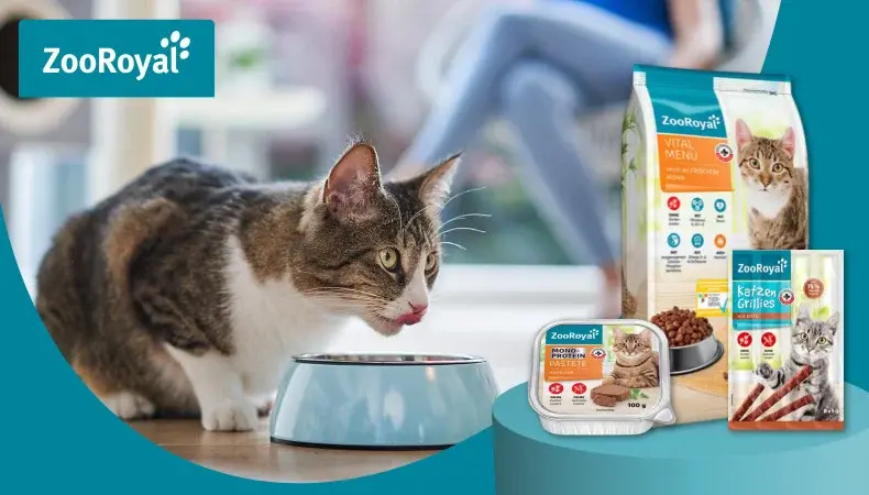 ZooRoyal Eigenmarke Katze frisst aus einem Napf neben ZooRoyal Katzenfutterprodukten.