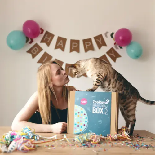 ZooRoyal Geburtstagsbox mit Katze am Partytisch Katze steht auf einem Tisch vor einer ZooRoyal Geburtstagsbox in einer bunt dekorierten Geburtstagsszene.