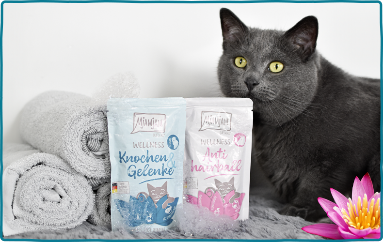 MjAMjAM Wellness Schwarze Katze sitzt hinter zwei aufgestellten Pouches MjAMjAM Wellness.