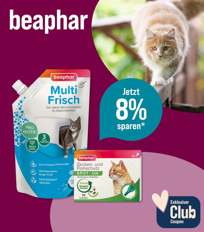 Spare 8% auf beaphar Aktionsbanner für Pflege‑ und Schutzprodukte von beaphar. Katze läuft auf einem Geländer im Freien, daneben Verpackungen von Geruchsentferner und Zecken‑ und Flohschutz.
