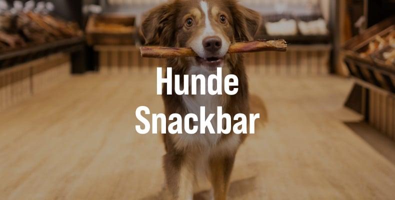 Hunde-Snackbar Hund steht im Laden und hält einen langen Snack in der Schnauze; Text „Hunde Snackbar“.