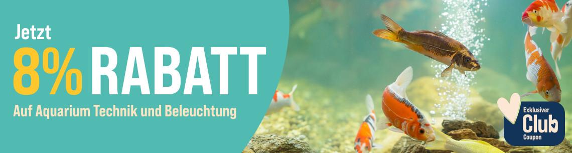 Spare 8% auf Aquarium Technik & Beleuchtung Aktionsbanner für Aquarium‑Technik und Beleuchtung. Mehrere Fische schwimmen in einem Aquarium mit Luftblasen und Steinen.