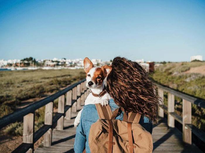 Reisen mit Hund Frau läuft über einen Steg und trägt einen kleinen Hund auf dem Arm.