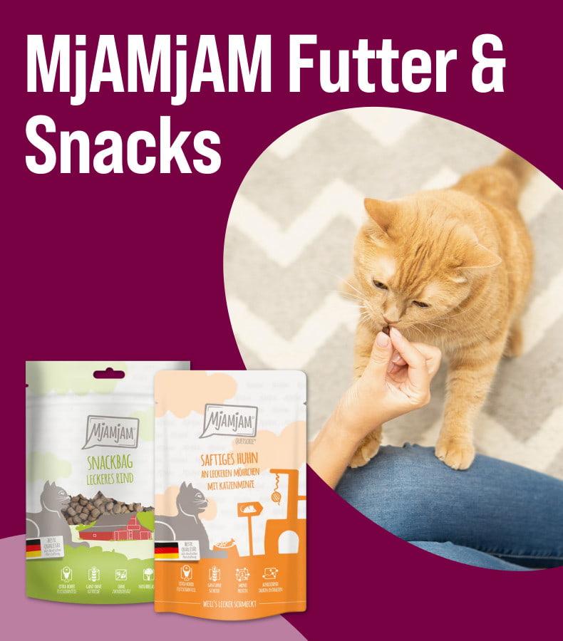 Entdecke MjAMjAM Futter & Snacks Aktionsbanner mit MjAMjAM Katzenfutter und Snacks sowie einer Katze, die aus der Hand gefüttert wird.