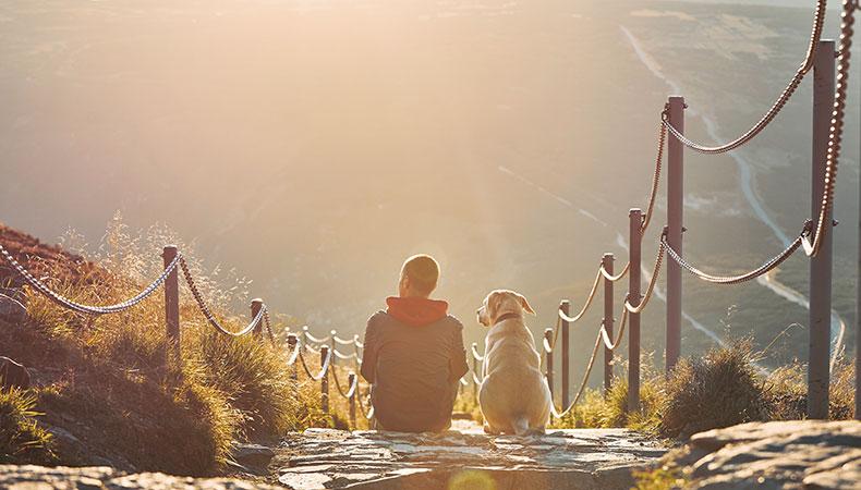 Reisen mit Hund Hund und eine Person sitzen gemeinsam auf einer Treppe in den bergen und schauen in den Sonnenuntergang.