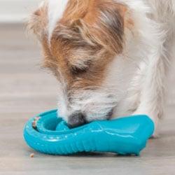 Hundespielzeug Hund spielt mit einem blauen Kauspielzeug.
