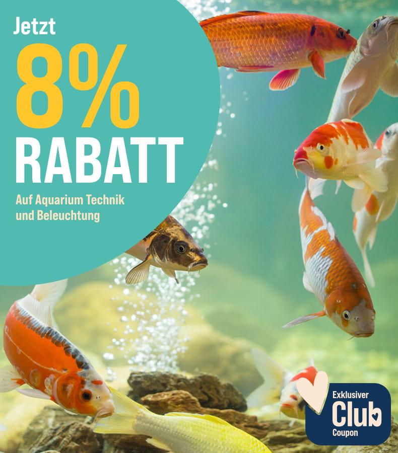 Spare 8% auf Aquarium Technik & Beleuchtung Aktionsbanner für Aquarium‑Technik und Beleuchtung. Mehrere Fische schwimmen in einem Aquarium mit Luftblasen und Steinen.