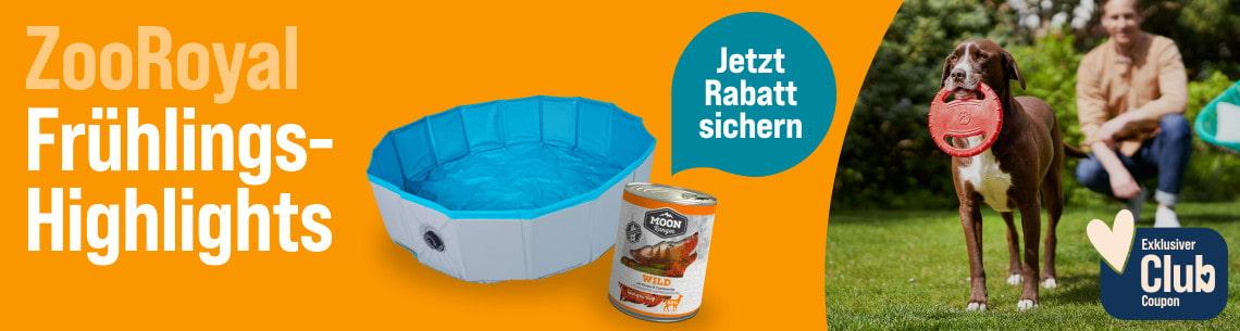 Spare auf ZooRoyal Marken Aktionsbanner mit Angeboten auf ZooRoyal Marken. Hund trägt eine Frisbee auf einer Wiese, daneben ein Hundepool und Hundefutterdose, Hinweis auf Rabattaktion und exklusiven Club‑Coupon