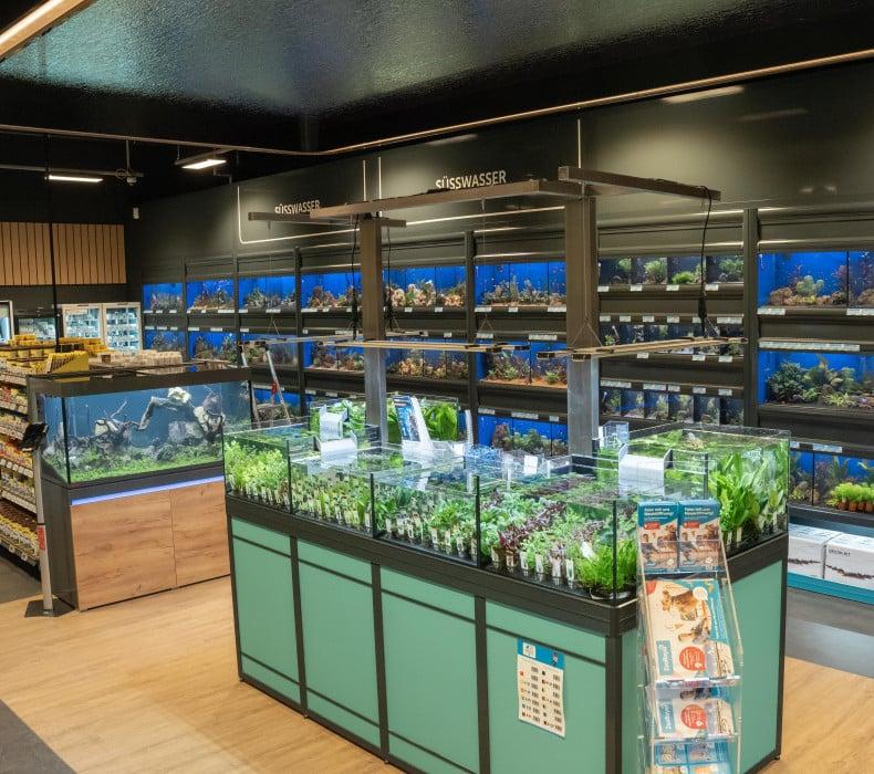 Aquaristik‑Abteilung Aquaristikbereich mit mehreren beleuchteten Fischbecken im ZooRoyal Fachmarkt in Elmshorn.