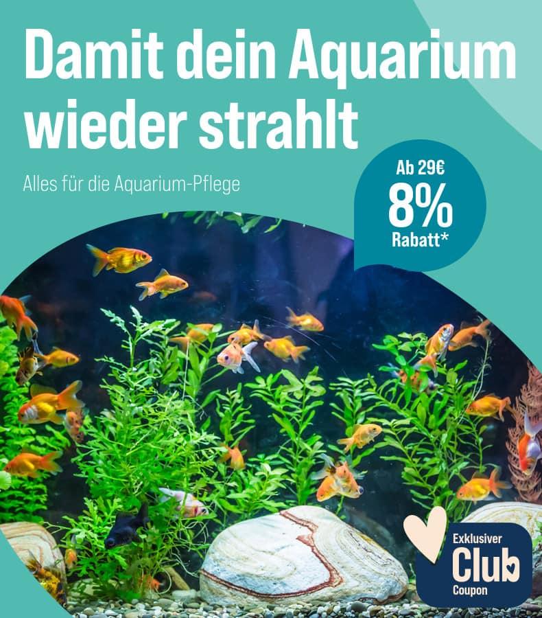 Spare 8 % ab 29 € auf Aquarium-Pflege Aktionsbanner Aquarium-Pflege mit Fischen im Aquarium