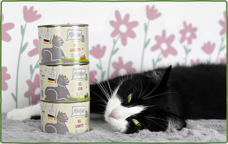 MjAMjAM Bio Katze Schwarze Katze liegt auf dem Boden neben drei aufgestapelten Dosen MjAMjAM Bio Katzenfutter.