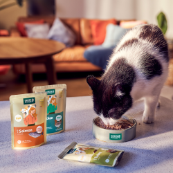 Green Petfood Futter für Katzen Aktionsbanner für Green Petfood Nassfutter für Katzen. Mittig die Aufschrift „Nassfutter für Katze“; darunter verschiedene Nassfutter-Produkte auf dunkelgrünem Hintergrund.