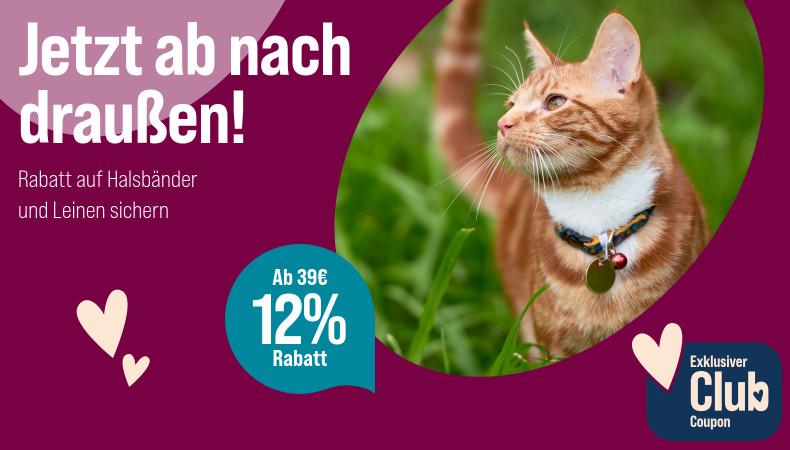 Spare 12 % ab 39 € auf Halsbänder und Leinen Werbebanner für Halsbänder und Leinen mit dem Slogan „Jetzt ab nach draußen!“. Abgebildet ist eine rot getigerte Katze mit Halsband im Gras. Ein Hinweis hebt hervor: „Ab 39 € 12 % Rabatt*“. Zusätzlich wird ein exklusiver Club-Coupon beworben.