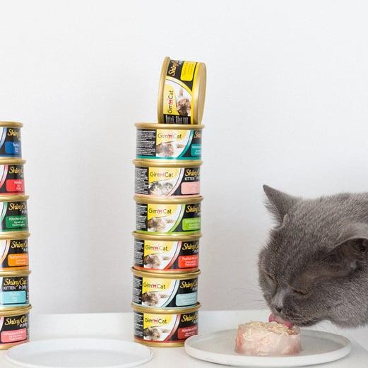 GimCat ShinyCat Graue Katze frisst Nassfutter neben gestapelten Dosen ShinyCat und GimCat.