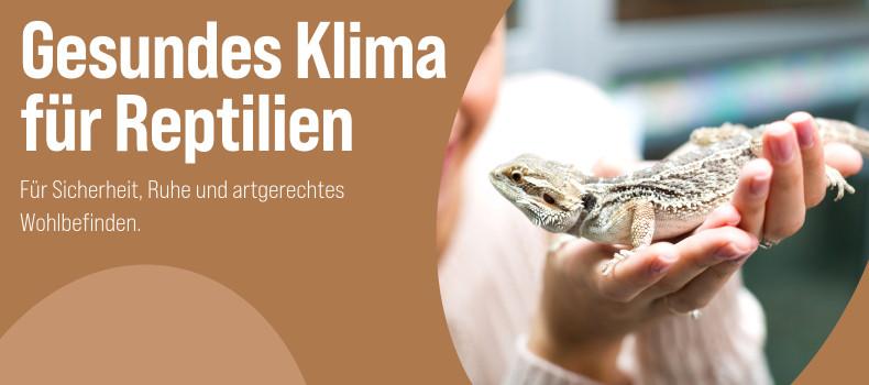 Reptiliengesundheit Bartagame wird vorsichtig auf zwei Händen gehalten - Banner zum Thema Reptiliengesundheit.
