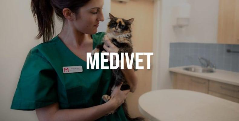 Veterinärversorgung bei Medivet Tierärztliche Fachkraft hält eine Katze in einer Klinik.