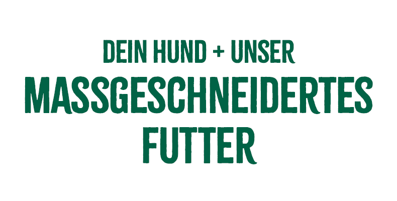 James Wellbeloved Slogan Schriftzug „Dein Hund + unser maßgeschneidertes Futter“.