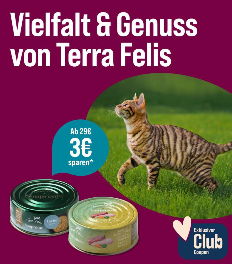 Spare 3 € ab 29 € auf Terra Felis Aktionsbanner für Terra Felis Katzenfutter. Mittig sind zwei Dosen Katzenfutter mit grünen und goldenen Deckeln auf pinkem Hintergrund platziert; rechts läuft eine Katze über eine grüne Wiese im Außenbereich; Hinweis: 3 € sparen ab 29 € mit exklusivem ZooRoyal Club-Coupon.