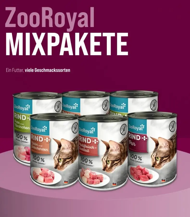 ZooRoyal Mixpakete Katzenfutter Banner Mehrere ZooRoyal Mixpakete Katzenfutterdosen stehen auf einem Podest vor violettem Hintergrund.