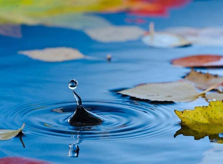 Filtermaterial Ein Wassertropfen erzeugt eine kleine Fontäne und Wellen zwischen treibenden Herbstblättern.