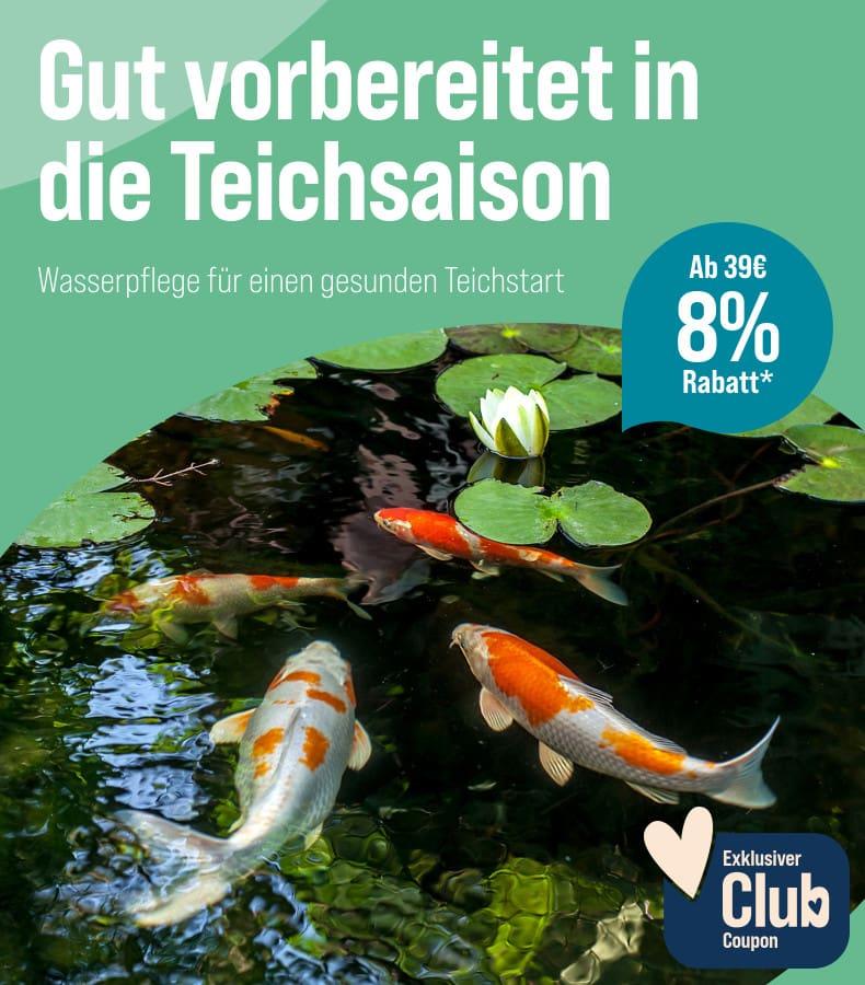 Spare 8 % ab 39 € auf Teich-Wasserpflege Aktionsbanner mit Koi Fischen im Teich