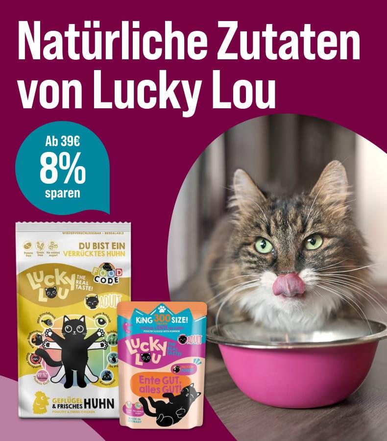 Spare 8% ab 39€ auf Lucky Lou Katzenfutter Aktionsbanner für Katzenfutter und Katzensnacks von Lucky Lou. Katze frisst aus einem Napf, daneben Verpackungen von Snacks und Nassfutter.