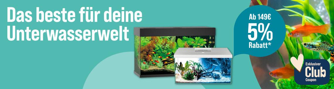 5 % Rabatt ab 149 € auf ausgewählte Aquarien Aktionsbanner für Aquarien. Rechts sind bunte Zierfische vor Wasserpflanzen sowie zwei Aquarien mit Unterwasserpflanzen zu sehen. 5 % Rabatt ab 149 € für ZooRoyal Club Mitglieder.