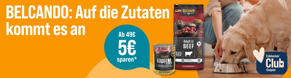 Spare 5 € ab 49 € auf Belcando Hundefutter Aktionsbanner für BELCANDO Hundefutter. Mittig Verpackungen von BELCANDO Adult GF Beef Trockenfutter und BELCANDO Huhn mit Ente Nassfutter; daneben türkiser Hinweis „Ab 49€ 5€ sparen*“. Rechts Hund beim Fressen aus einem Futternapf. Hinweis: Exklusiver Club Coupon.
