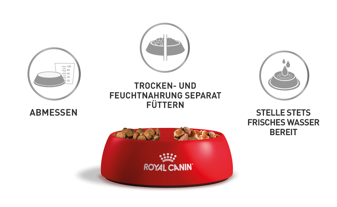 Royal Canin Fütterungshinweise mit Napf Grafische Hinweise zum Abmessen, getrennten Füttern von Trocken- und Feuchtnahrung und Bereitstellen von frischem Wasser.