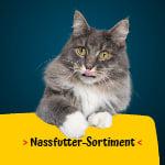 Josera Katzen Nassfutter Katzen Nassfutter-Sortiment