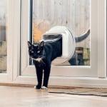 Sureflap Katzenklappe Katze steigt durch eine Katzenklappe in einer Glastür.