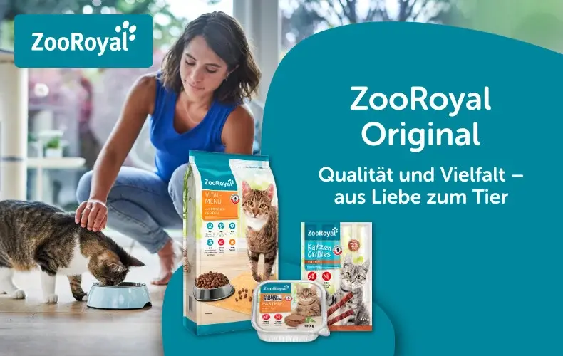 ZooRoyal Original Katzenfutter im Wohnumfeld Katze frisst im Wohnzimmer aus einem Napf neben ZooRoyal Original Katzenfutterprodukten.