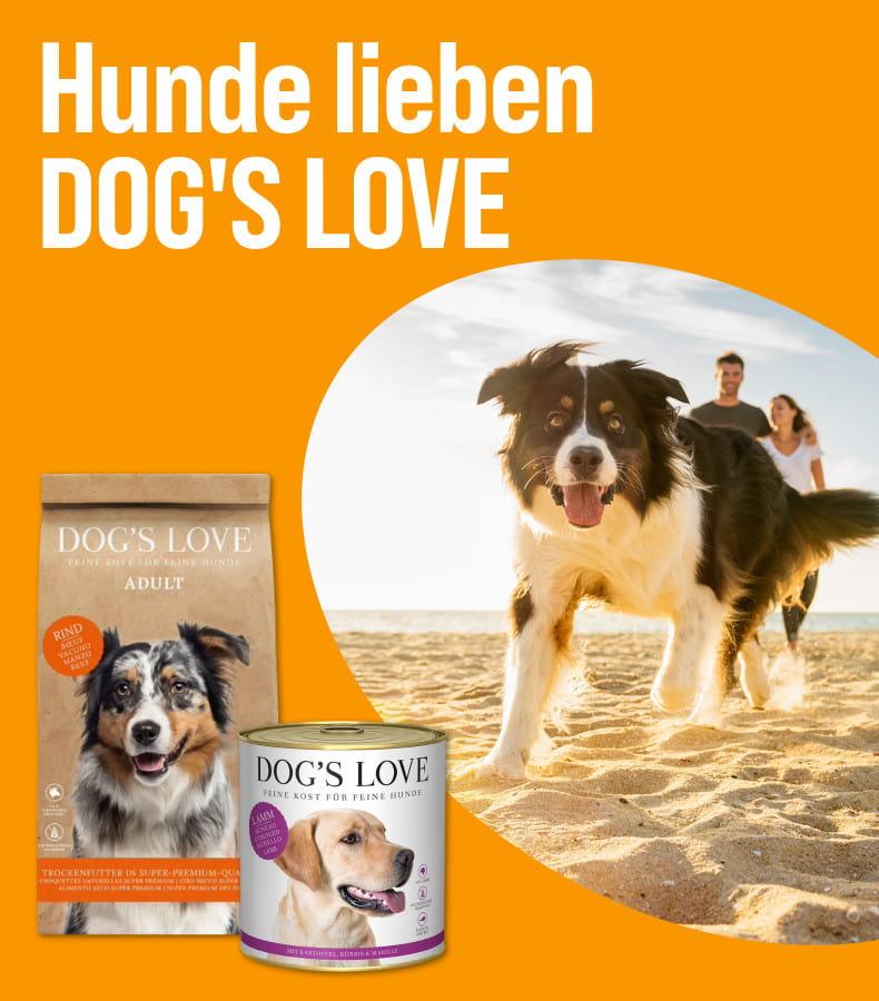 Entdecke Hundefutter von DOG'S LOVE Aktionsbanner für Hundefutter von DOG'S LOVE. Hund läuft über einen Sandstrand, im Hintergrund zwei Personen, daneben Verpackungen von Trocken‑ und Nassfutter, Hinweis auf „Hunde lieben DOG'S LOVE“.