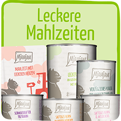 MjAMjAM Leckere Mahlzeiten Katze Auswahl verschiedener MjAMjAM‑Katzenmahlzeiten vor hellem Hintergrund.