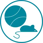 Icon Spielzeug Icon Spielzeug.