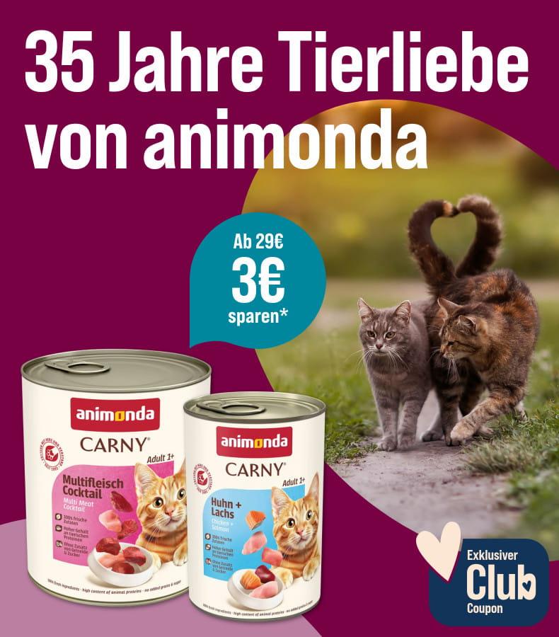 Spare 3€ ab 29€ auf animonda Katzenfutter Aktionsbanner mit animonda Katzenfutterdosen sowie zwei Katzen auf einem Gartenweg.