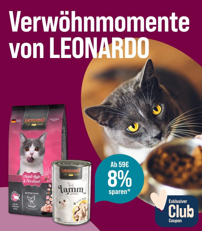 Spare 8% ab 59€ auf Katzenfutter von Leonardo Aktionsbanner mit LEONARDO Katzenfutter: Eine Katze blickt auf einen Futternapf. Text: ‚Verwöhnmomente von LEONARDO‘, ‚Ab 59 € 8 % sparen‘ und ‚Exklusiver Club Coupon‘.