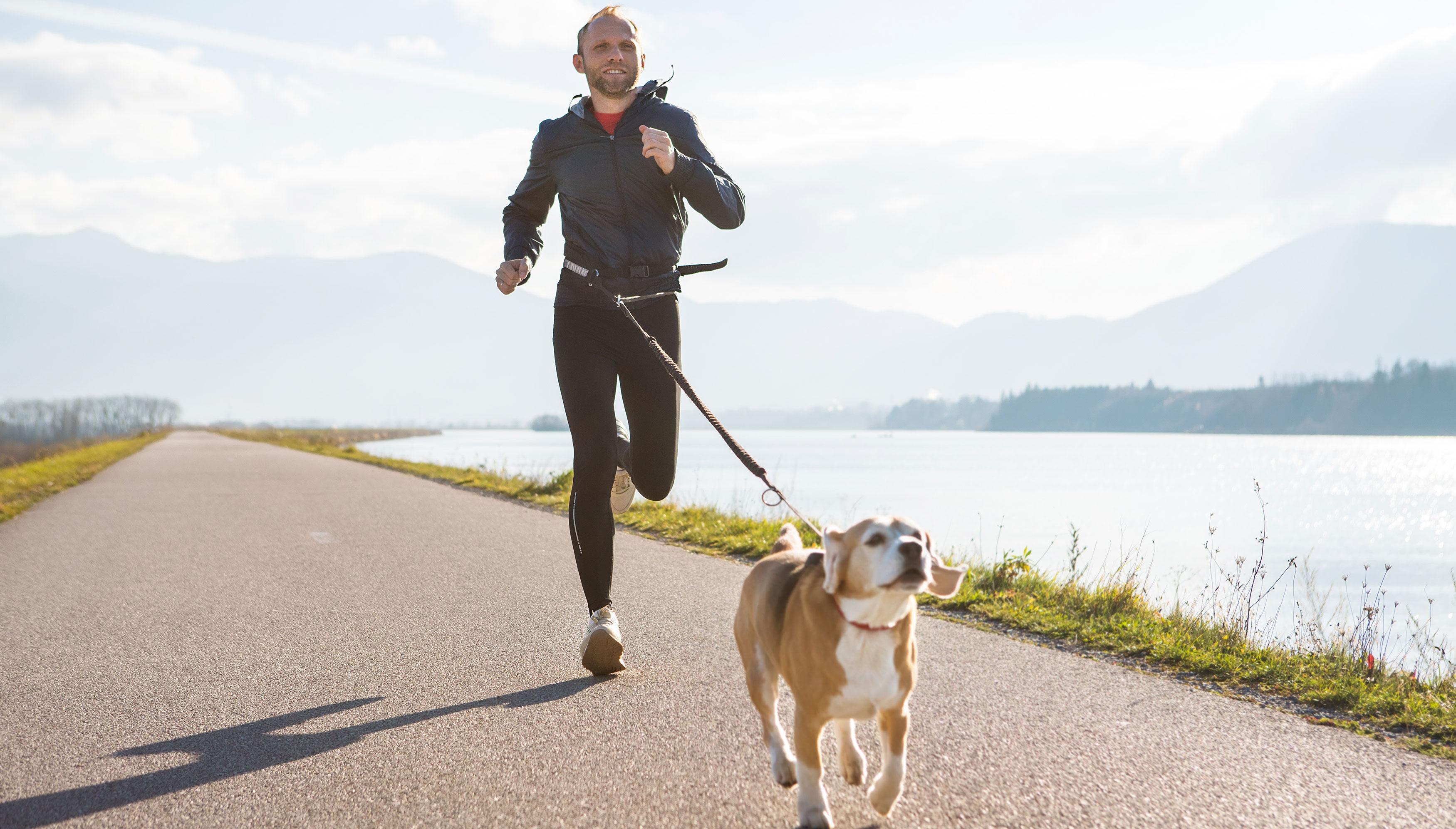Hundegesundheit Hund läuft an der Leine neben einer joggenden Person auf einem Weg am Wasser, Banner zum Thema Hundegesundheit.
