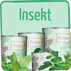 MjAMjAM Insekt Hund MjAMjAM‑Hundefutter der Sorte Insekt in mehreren Dosen vor grünem Hintergrund.