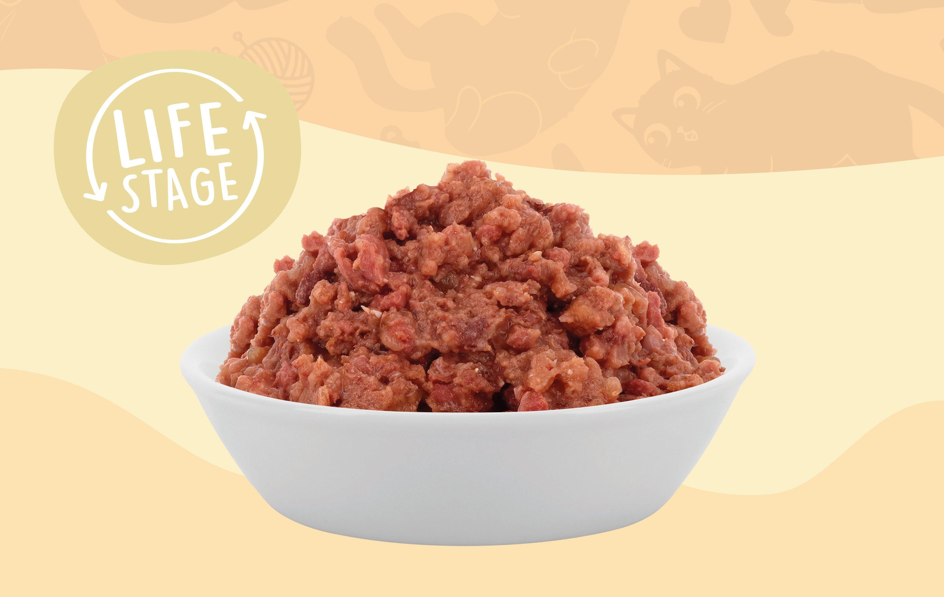 Lucky Lou Life Stage Schale mit Lucky‑Lou‑Nassfutter vor orangefarbenem Hintergrund mit dem Hinweis „Life Stage“.