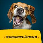 Josera Hunde Trockenfutter Hunde Trockenfutter-Sortiment.