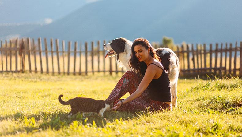 Tiergesundheit im Sommer Ein großer Hund steht im Garten neben einer im Gras sitzenden Person und einer Katze.