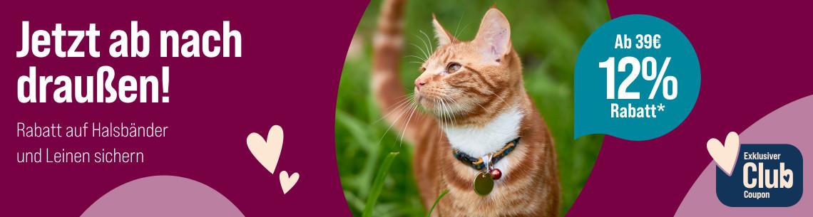 Spare 12 % ab 39 € auf Halsbänder und Leinen Werbebanner für Halsbänder und Leinen mit dem Slogan „Jetzt ab nach draußen!“. Abgebildet ist eine rot getigerte Katze mit Halsband im Gras. Ein Hinweis hebt hervor: „Ab 39 € 12 % Rabatt*“. Zusätzlich wird ein exklusiver Club-Coupon beworben.